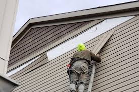 Siding for Multi-Family Homes in Carrizo Hill, TX